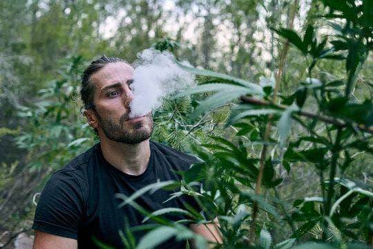 Guía 2026 E-cigareta y dónde encontrar cigarrillos electronicos madrid sol al mejor precio